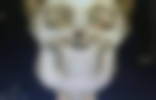 商丘星耀医疗美容诊所怎么样正规吗