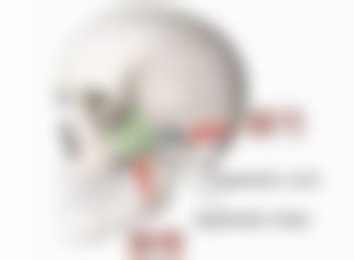 韩国丽珍整形医院医生介绍