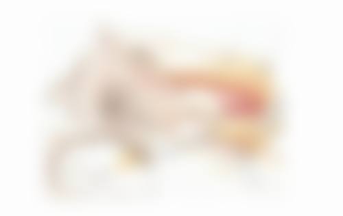 韩国丽珍整形医院基本信息