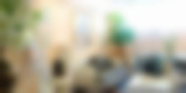 深圳美莱医疗美容医院郭杰医生自体脂肪隆胸技术怎么样？