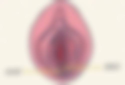 武汉斯启诺医疗美容门诊部叶锋:如何预约他的医美项目