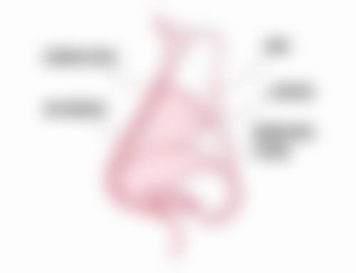 武汉斯启诺医疗美容门诊部王伟民医生预约挂号指南