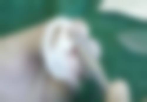 成都武侯雍和华仁医疗美容门诊部口碑评价怎么样?