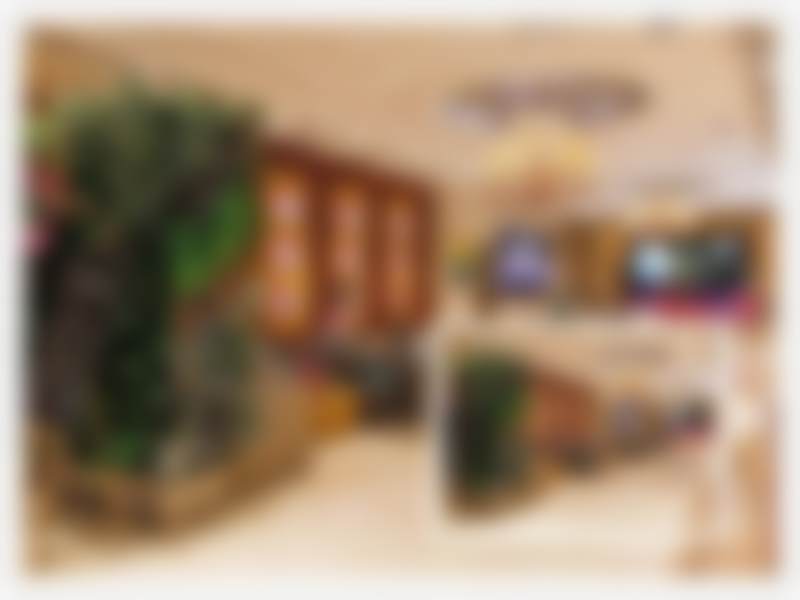 西安艺星医疗美容医院刘拴锁医生擅长项目