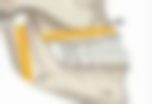 永安茜茜科美医疗美容门诊部钟玉凤医生擅长项目