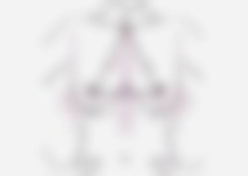 丽江法思医疗美容诊所基本信息