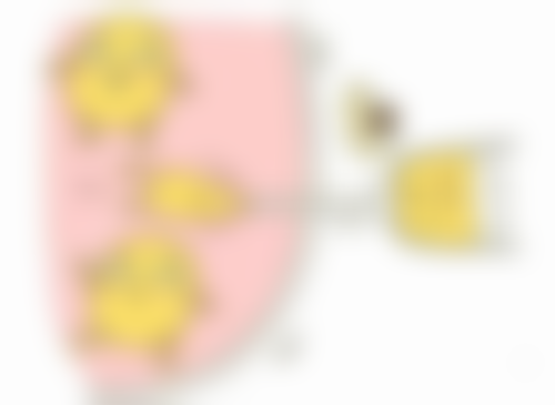 veryB医院 江南站店正规吗？