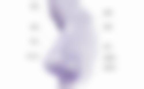 江岸区董雷收费价格表大揭秘——合理定价消费无忧