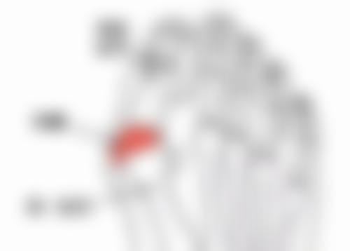 重庆迪邦皮肤病医院翁瑞全医生擅长项目