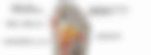 韩国春光整形外科金长旭医生社会职称