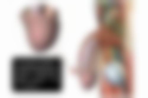 包头现代女子医院整形美容科基本信息：