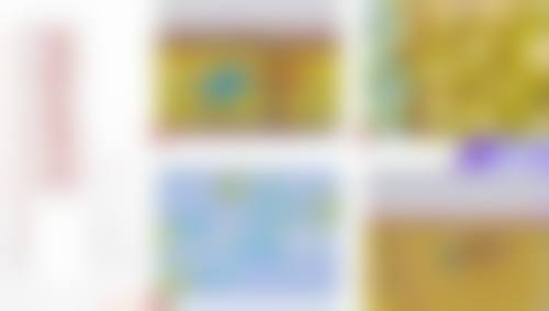 重庆迪邦皮肤病医院翁瑞全医生社会职称