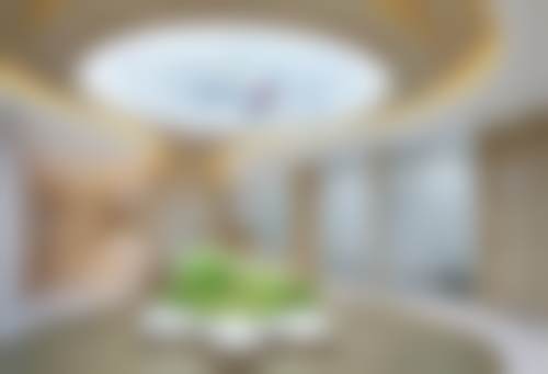 成都素美医疗美容门诊部爱丽兰P+玻尿酸1.2mL注射适用哪些部位呢？