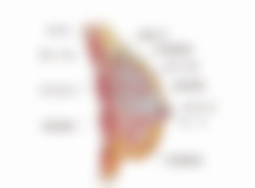 荆门仁爱整形美容医院肖升华医生擅长项目