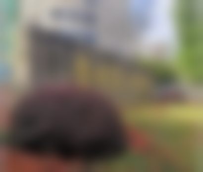 贵州省人民医院(医学美容科)口碑评价怎么样?