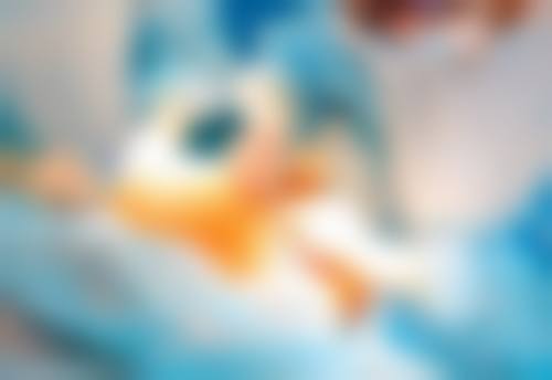 北京韩誉国都整形医疗美容医院基本信息