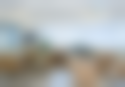 重庆星荣整形外科医院江华医生患者评价