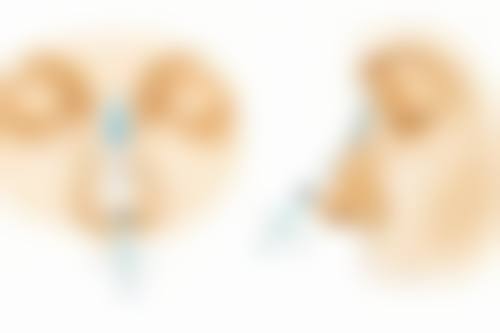 珠海华美医疗美容整形医院基本信息