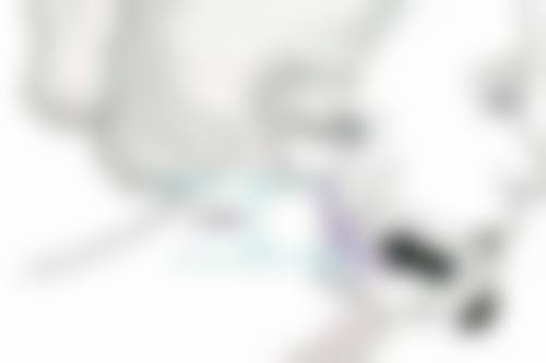 哈尔滨医 科 大附属第四 医院整形美容中 心孟伟医生擅长项目