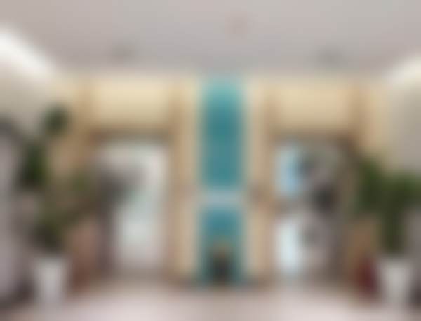 沈阳北方整形外科医院孙强医生擅长项目