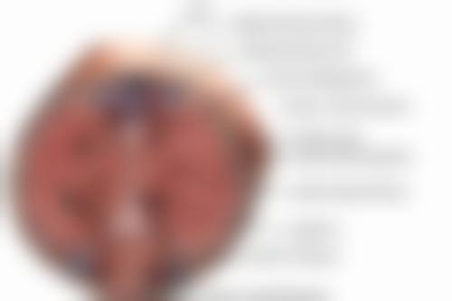 深圳欢乐丽格医疗美容诊所唐录医生患者评价