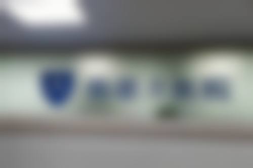 北京斯凯丽雅医疗美容诊所蔡铭华医生擅长项目