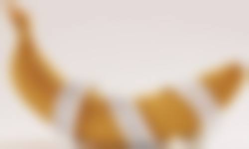 项目带来的产业协同效应