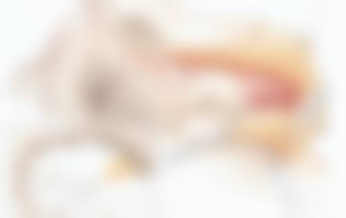 大庆东韩医疗美容诊所怎么预约