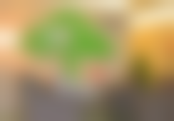 北京瑞丽诗医疗美容门诊部李大熙医生毛发移植技术怎么样?