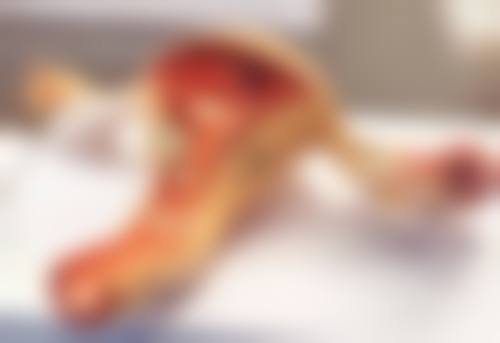 太原晋绮医疗美容诊所詹本立医生鼻部整形技术怎么样?