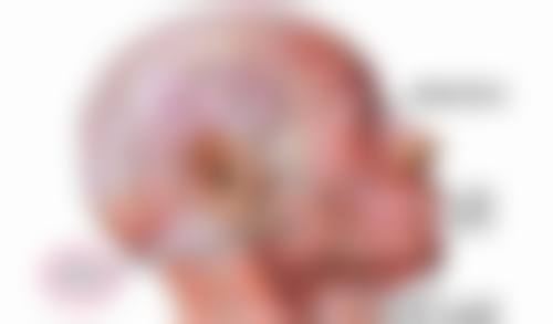 集安钰臻外科整形诊所怎么预约