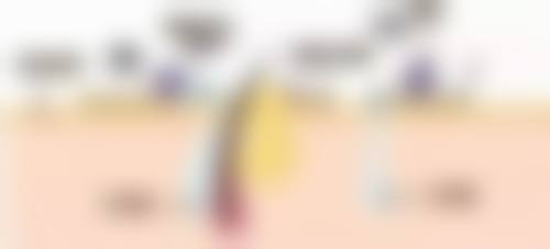 Beauty_luvoir基本信息