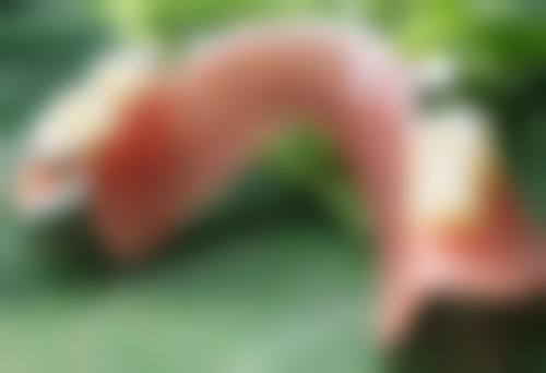 福州隆美尔医疗美容门诊部怎么预约