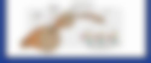 武警北京市总队第三医院整形美容中 心基本信息：