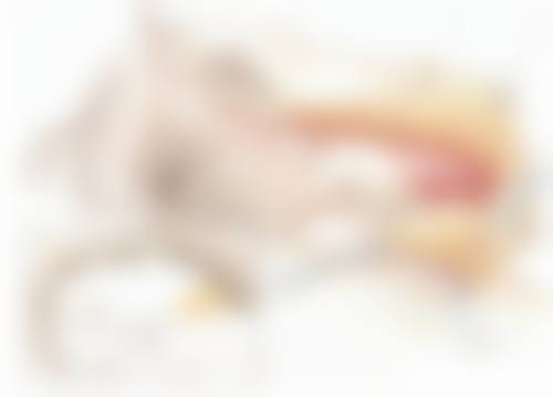 宜昌雍禾植发医院正规吗？