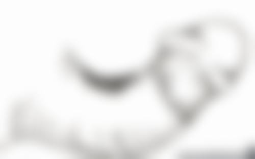 吉林大学第二医院基本信息