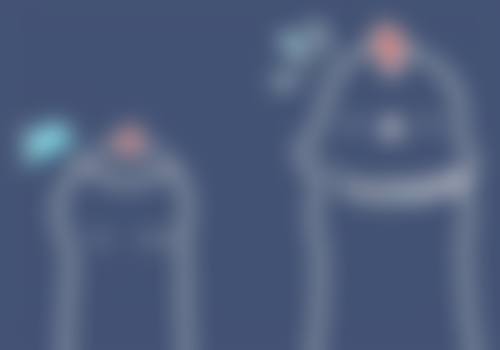 韩国美翼基本信息