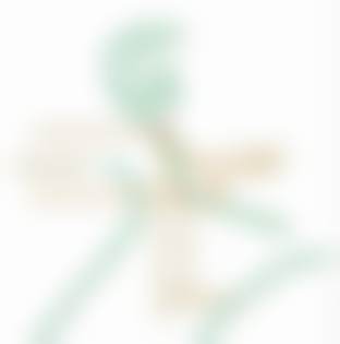 北京圣嘉新医疗美容医院的整体实力如何？