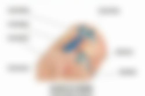 南京澳玛星光整形医院医生介绍