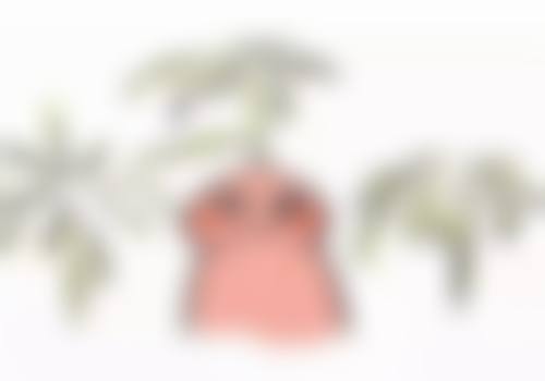 成都美诗沁医疗美容口碑评价怎么样？