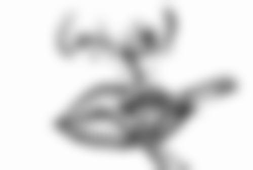 厦门思明臻医整形外科门诊基本信息