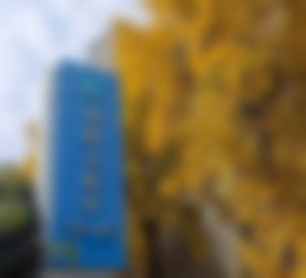 上海伯思立医疗美容门诊部沈国雄医生眼部整形技术怎么样?