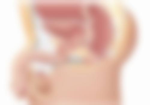 北京仁雁医疗美容门诊部王显伦医生擅长项目