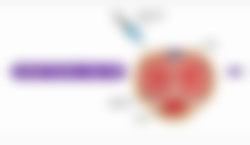 芜湖曙光医疗美容门诊部怎么预约：