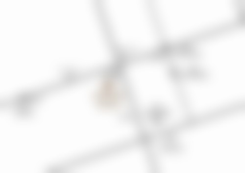 申聖湜医生擅长的项目