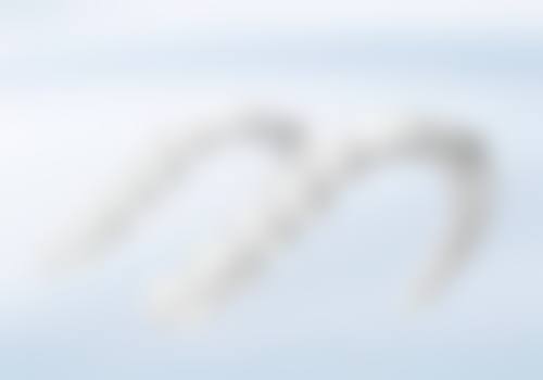 成都青橙口腔门诊部乘车路线