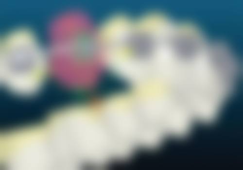 王怀元医生的荣誉头衔