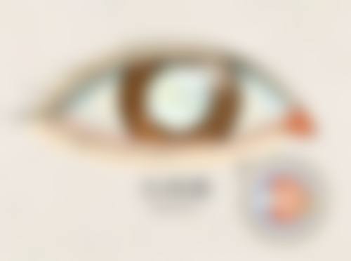 胡汝平医生坐诊医院