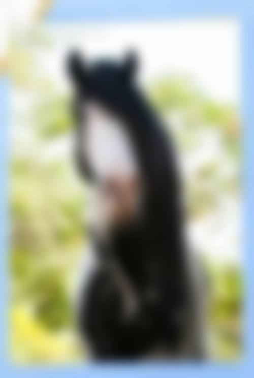 总结