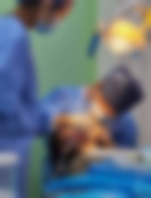 重庆嘉一悦口腔医院乘车路线